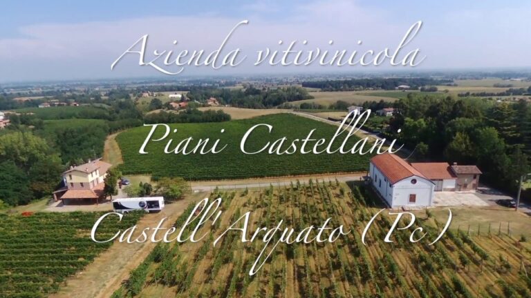 Azienda Agricola I Piani: Un’Analisi Ottimizzata