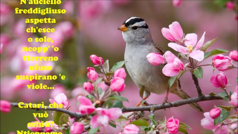 Marzo: la poesia di Giacomo Leopardi