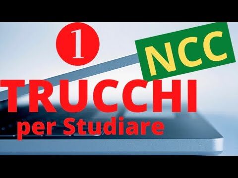 Come diventare autista NCC senza iscrizione al ruolo