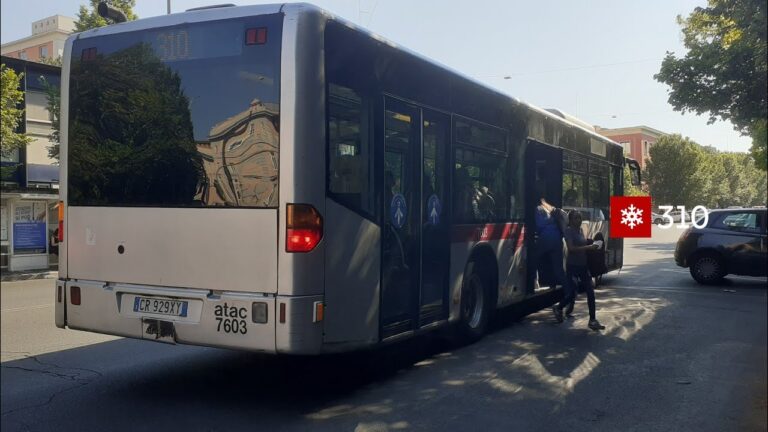 Guida alla Linea 310 a Roma