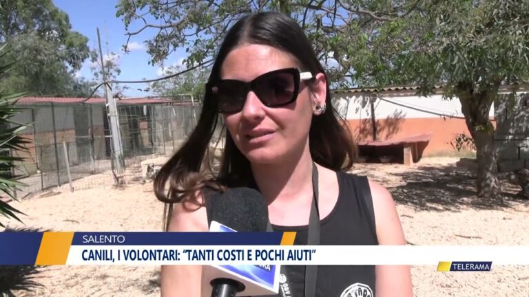 Volontariato nei canili di Roma: un gesto di amore e solidariet&agrave;