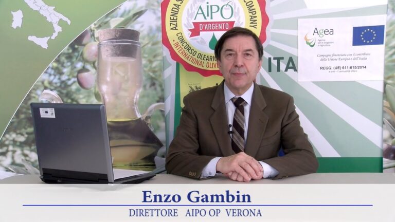 Strategie per Gestire le Scorte Accumulate per Necessit&agrave; Future