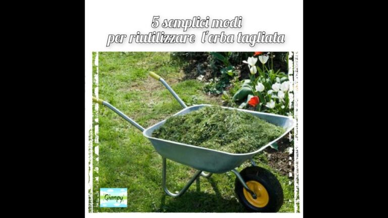 Guida per smaltire correttamente l’erba tagliata