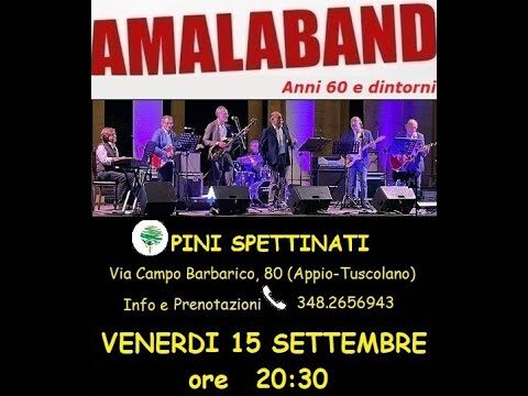 I pini spettinati di Roma