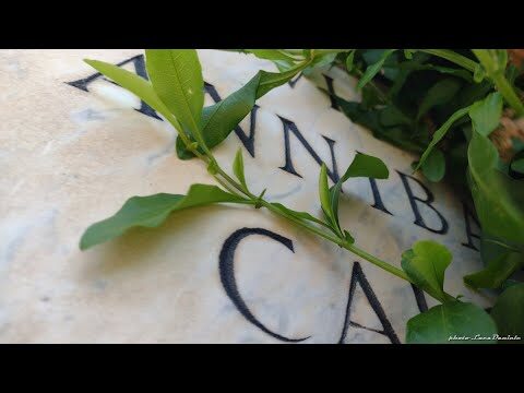 Roma: La Passeggiata nel Verde