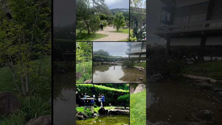 Orto Botanico Hanami: Guida Completa