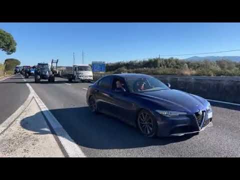 Vigili Urbani a Lamezia Terme: Ruolo e Compiti