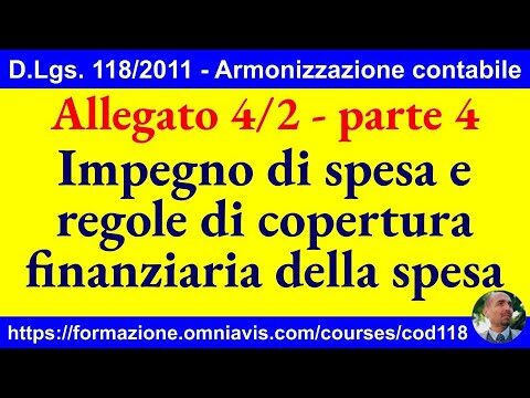 Sintesi D.Lgs 118/2011 Allegato 4/2: Guida Ottimizzata