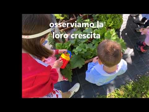 Orti Didattici: Progetti Ottimizzati per l’Apprendimento