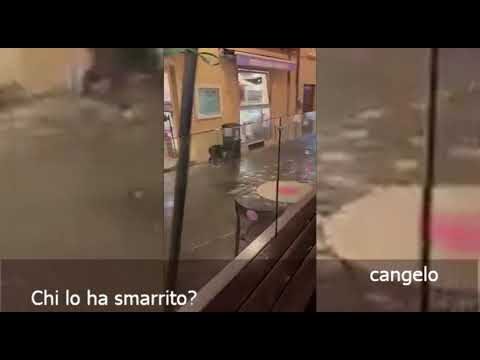 Albo Pretorio: Trasparenza e Accesso nel Comune di Rimini