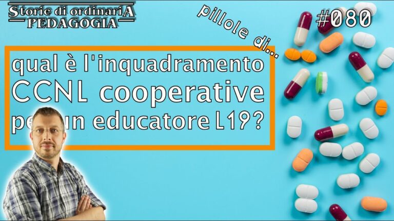 Guida Completa al CCNL D2: Tutto ciò che devi sapere