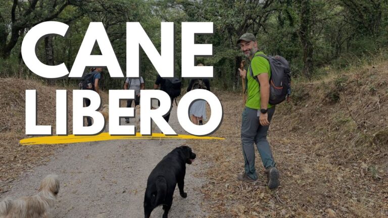Regolamento per i Cani in Campagna