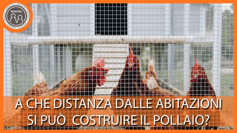 Limiti di distanza tra pascoli e abitazioni: linee guida e normative