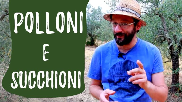 Le meraviglie di Alla Quercia nei Colli Verdi