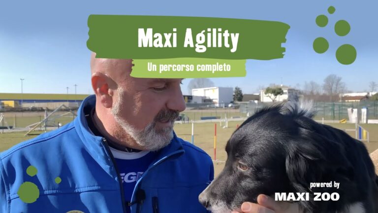 Guida ai Percorsi di Agility Dog: Consigli e Tecniche Essenziali
