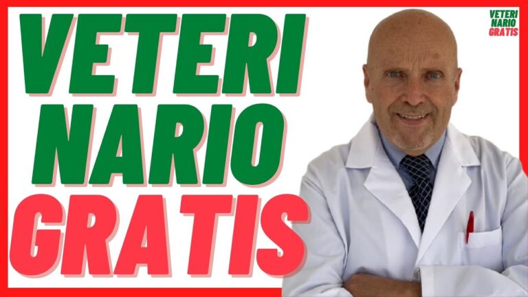 Servizio Veterinario Online Gratuito