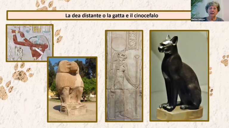 Affascinanti Nomi di Gatti Egiziani da Scegliere