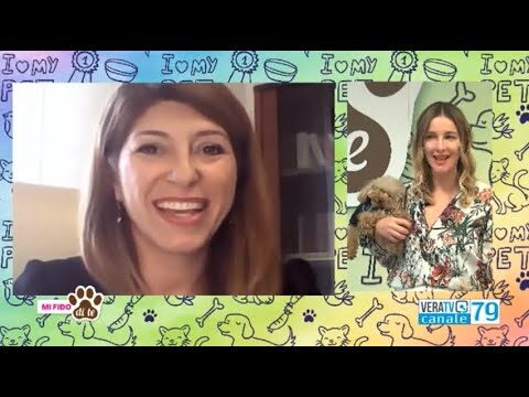 Richiesta risarcimento danni per morso di cane: fac-simile