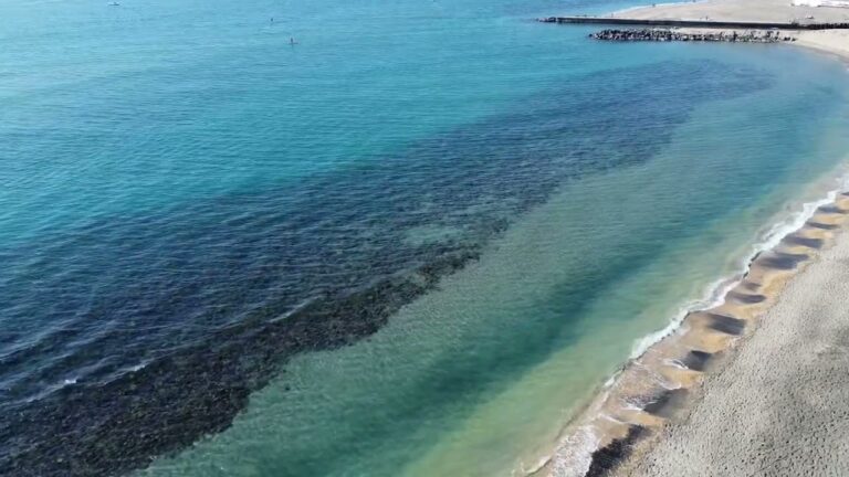Eventi a Ostia Oggi: Cosa Fare in Citt&agrave;