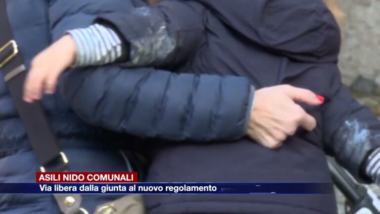 Guida al Regolamento dell’Asilo Nido Privato