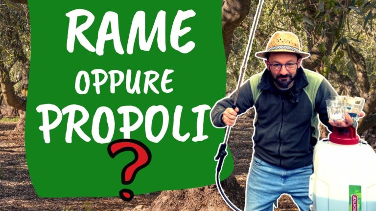 Trattamenti antiparassitari per il ciliegio: guida completa