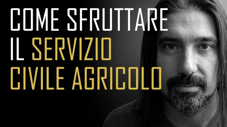 Guida al modulo di dimissioni per il servizio civile