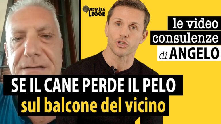 Pip&igrave; del Cane: Soluzioni per Balconi in Condominio