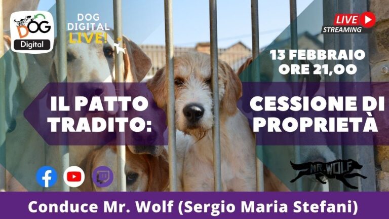 Cessioni di Propriet&agrave;: Guida Pratica e Vantaggi