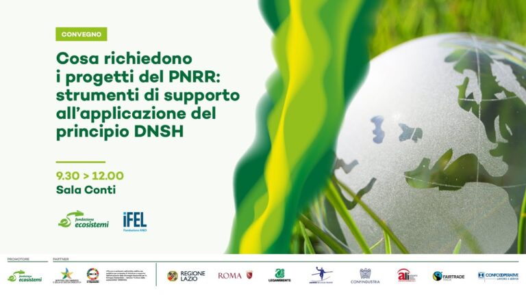 Esempio di Relazione DNSH: Guida Ottimizzata