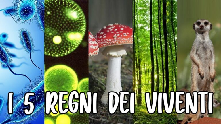 Piante che crescono sui muri e tronchi: guida completa