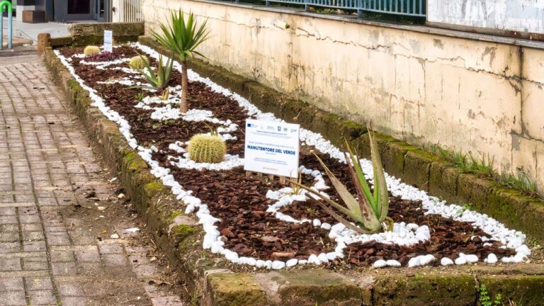 Corso Manutentore del Verde a Roma: Guida Ottimizzata