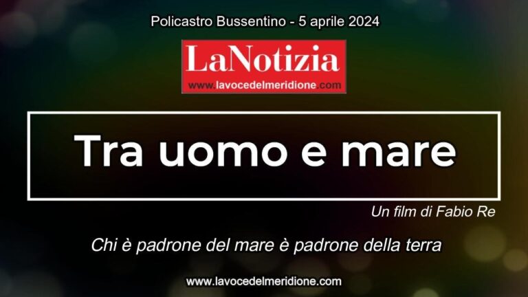 Programmazione Cinema Policastro: Film in Sala e Orari