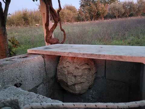 Nidi Ammazzasomari: Il Pericolo Nascosto nei Giochi dei Bambini