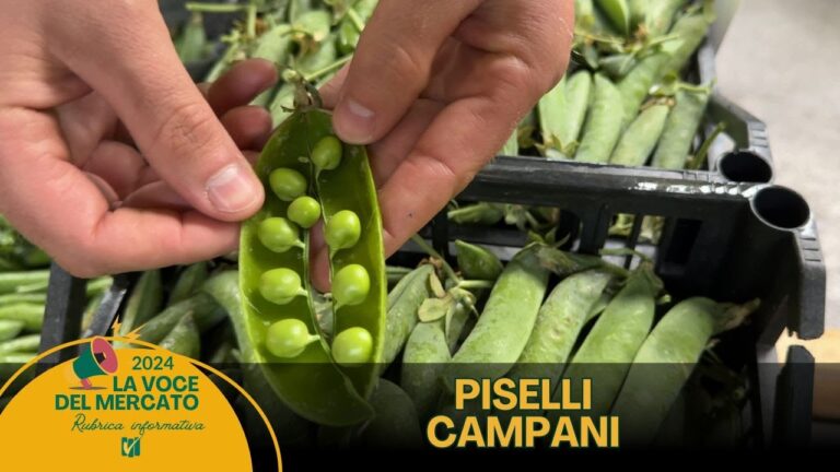 La guida definitiva alle piante tendenti all’agro