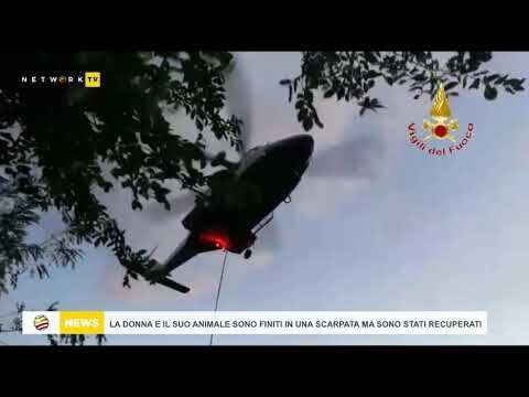 Guida essenziale al destrero veterinario