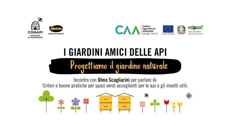Parchi Urbani: Progetti Ottimizzati e Concisi