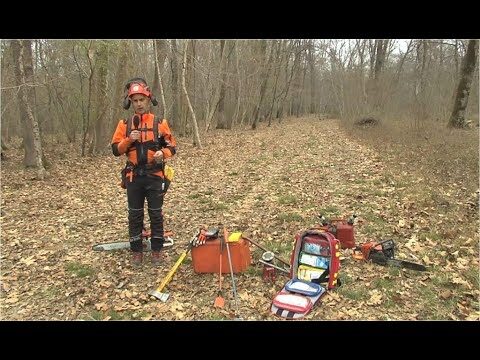 Regole e procedure per l’abbattimento degli alberi in condominio