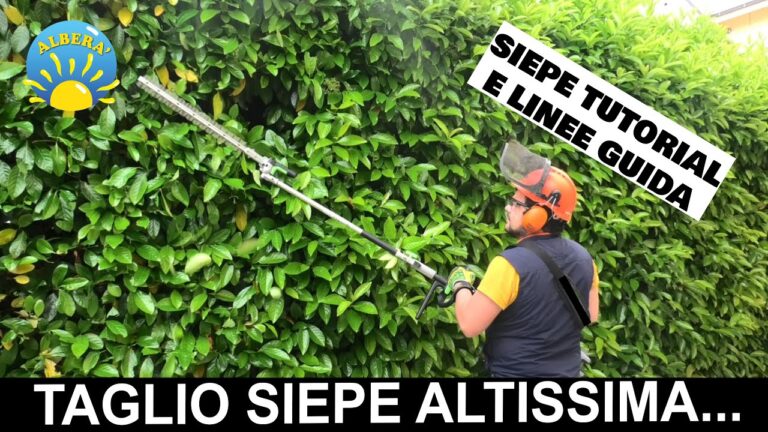 Guida completa al costo del taglio di siepi: consigli e suggerimenti