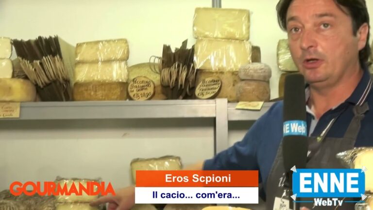 Guida alla Gestione Ottimizzata del Garage Scipioni