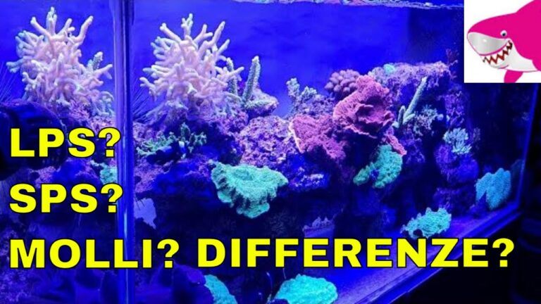 LPS: significato e impatto nella ricerca scientifica