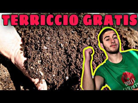 GREEN24 Fertilizzante liquido per palme HighTech NPK, radici, terreno, fogliare, fertilizzante, fertilizzante professionale per piante