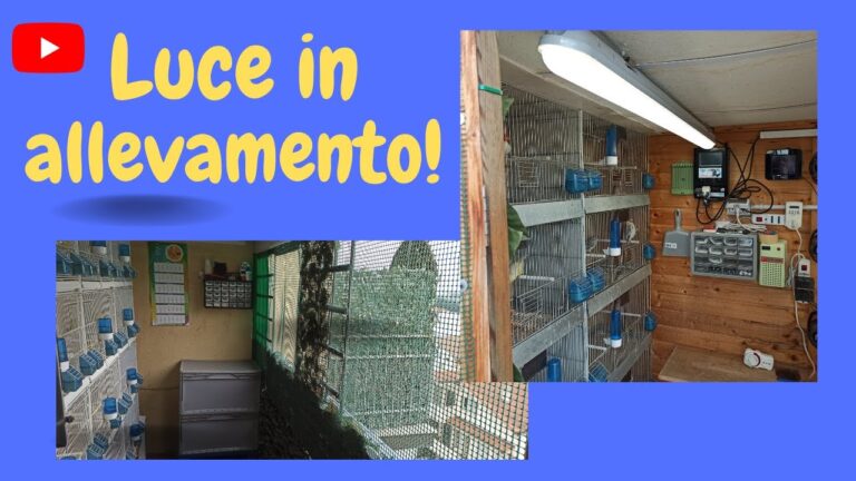 Tabella Durata del Giorno: Ottimizzazione e Concisione