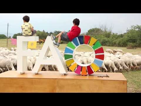 Vivaio Appia Pignatelli: Il Paradiso delle Piante a Roma