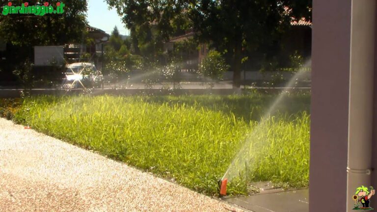 HLMOptimo Stazione Di Irrigazione Per Api E Farfalle – 2 O 4 Tazze Colorate In Metallo Per Giardino