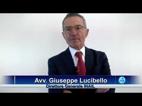 Lucibello Avvocato: Esperto Legale per le Tue Necessità
