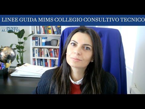 Guida completa ai pareri MIMS