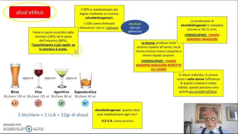 Differenze tra vendita e somministrazione di alcolici