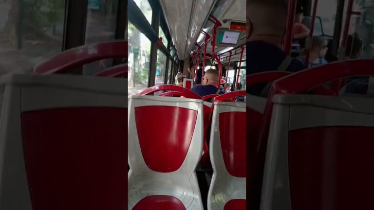 Autobus 982 a Roma: Guida Completa e Informazioni Utili