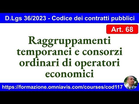 Art. 68 del DLGS 36/2023: Impatto sul Settore Artistico