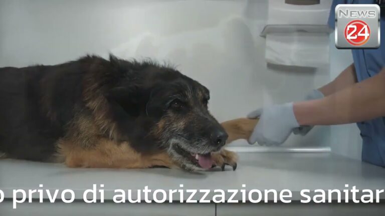 Guida all’ASL Autorizzazione Sanitaria
